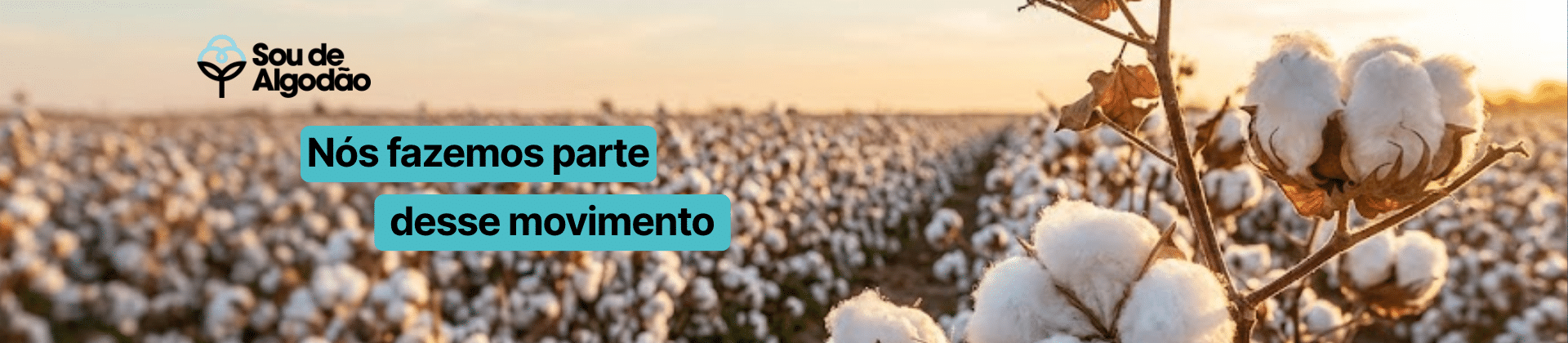 Imagem de Fundo para Layout (1920 x 420 px) (2)